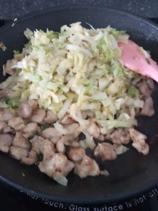 Chicken and cabbage in the pan on gas stove with spatula.