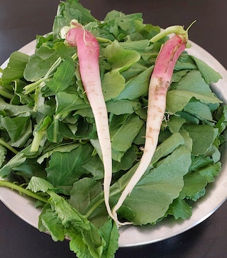 Bowl of green leaves with radishes